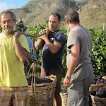 Çiftlik konaklama Casa Gialla Lipari (Isola Lipari)