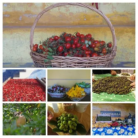 Agriturismo Casa Gialla Farm stay Lipari (Isola Lipari)
