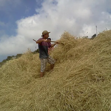 Farmház Casa Gialla Lipari