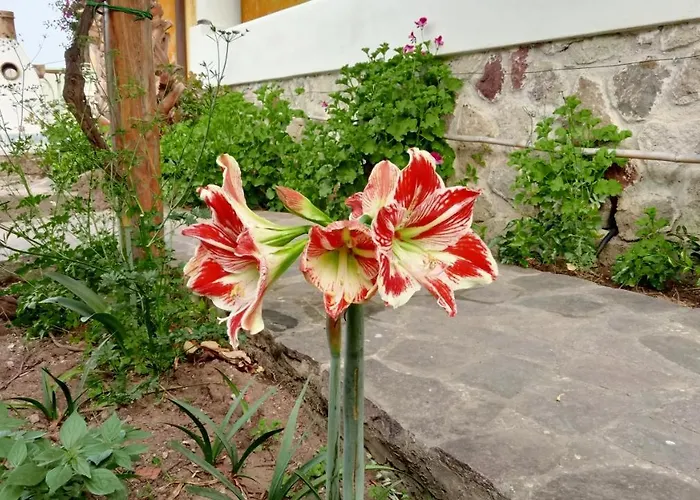 Casa Gialla *