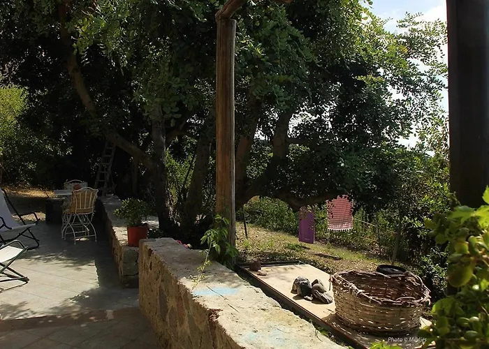 Casa Gialla Farm stay