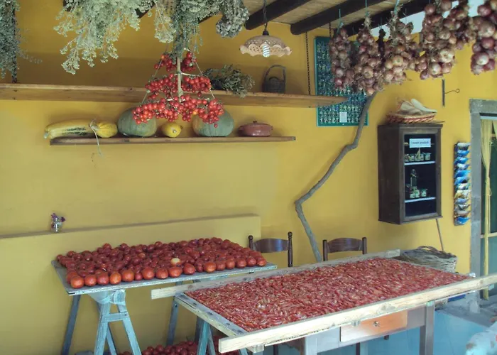 Casa Gialla Farm stay *