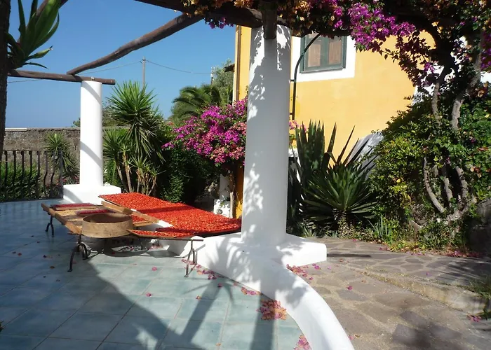 Casa Gialla Farm stay