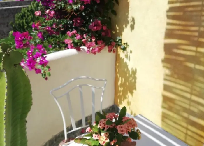 Farm stay Casa Gialla