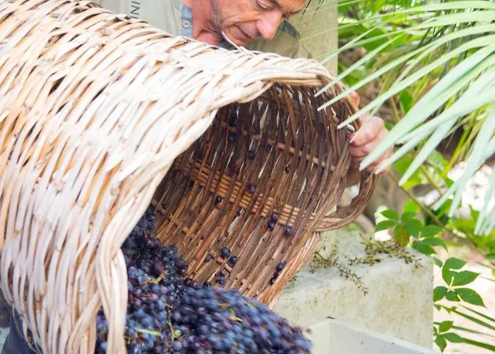 Casa Gialla Farm stay Lipari (Isola Lipari)